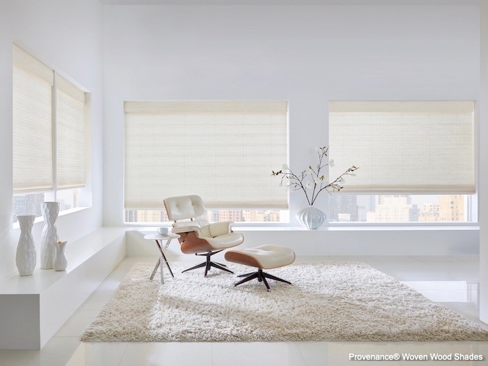 A minimalist living room with a plush rug.